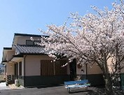 クレメンティアさくら